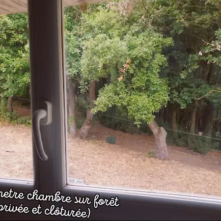 Apartamento Balnéo Animaux Aux Portes De Carcassonne Alairac